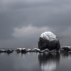 Серый цвет