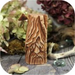 Малый Грибовичок Малый Грибовичок