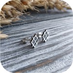 Гвоздики «Засеянное поле»