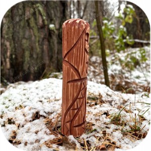 Средний кумир Даны