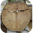 Ремонт бубнов