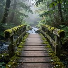 Роль моста в Родной вере