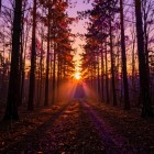 Что делать в Равноденствие