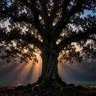 Стирание бинарных оппозиций в язычестве