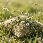 Подушки и матрасы из луговых трав