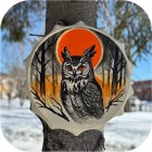 Бубен «Сова»