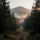 Ярилина гора