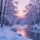 Народные приметы на декабрь (Студень)