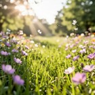 Как подготовить тело к лету?