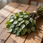 Как заготовить берёзовый веник для бани?