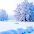 Народные приметы на январь (Сечень)