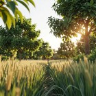 Народные приметы на август (Серпень)