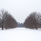 Народные приметы на февраль (Лютень)