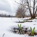 Народные приметы на март (Березень) 