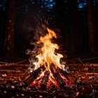 Как зажечь пламя в костре в условиях выживания