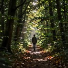 Идти вперед или остаться