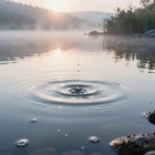 Добыча воды в дикой природе