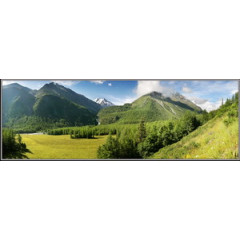 Поляна Куркуре в предгорьях Белухи. Менсу. Алтай