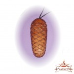 Футляр для варгана «Шишка» Футляр для варгана «Шишка»