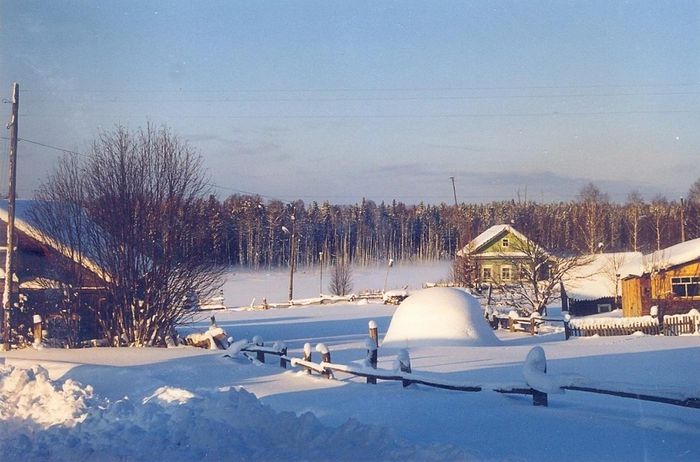 Дом в деревне