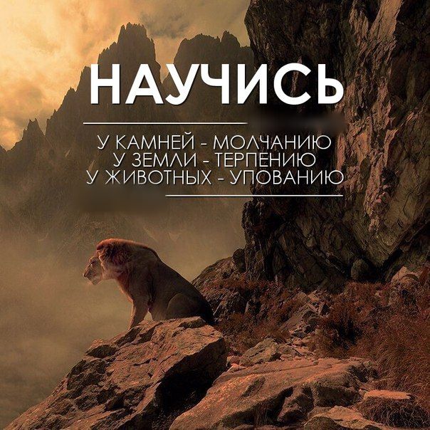 Русские мотиваторы | Фотогалереи